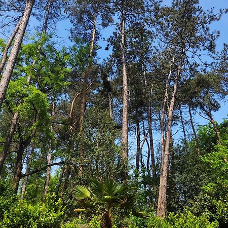 Secret Wellness Boszicht Villa โฮลเตน ภายนอก รูปภาพ