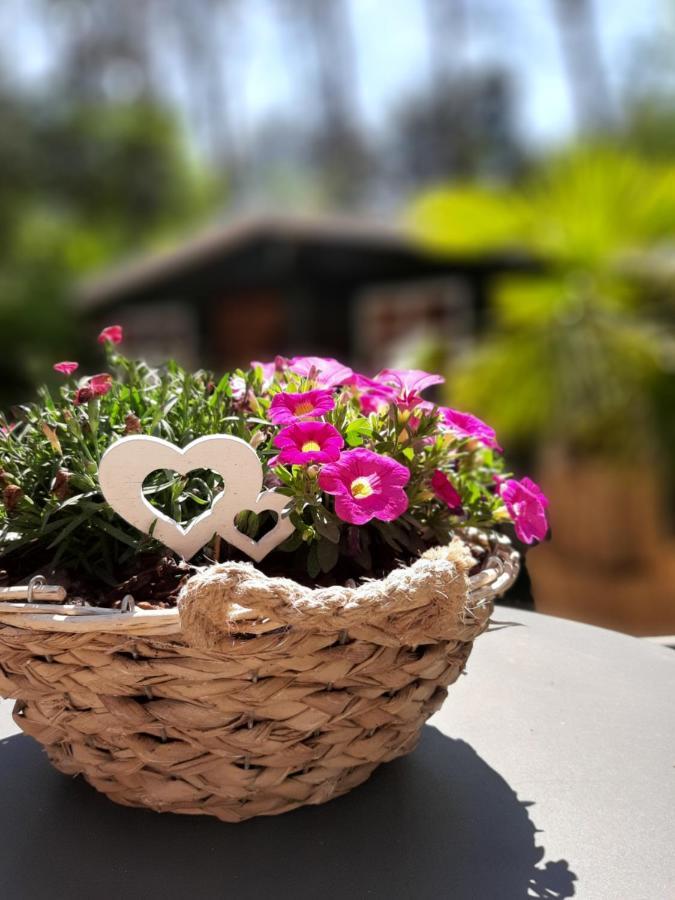 Secret Wellness Boszicht Villa โฮลเตน ภายนอก รูปภาพ
