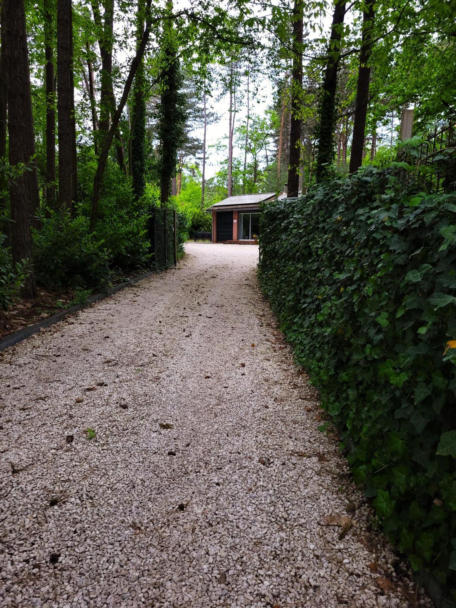 Secret Wellness Boszicht Villa โฮลเตน ภายนอก รูปภาพ